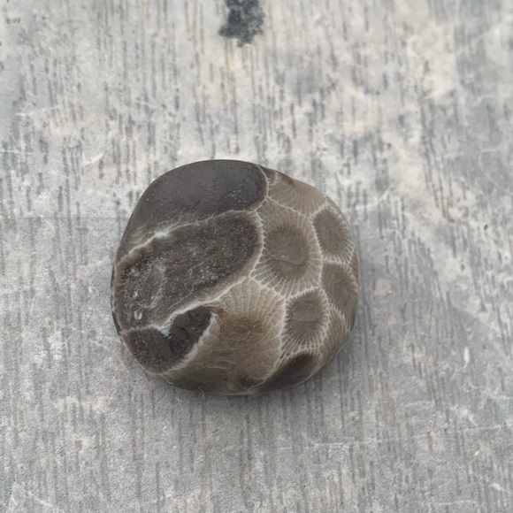 Petoskey stone - Picture 4 of 5